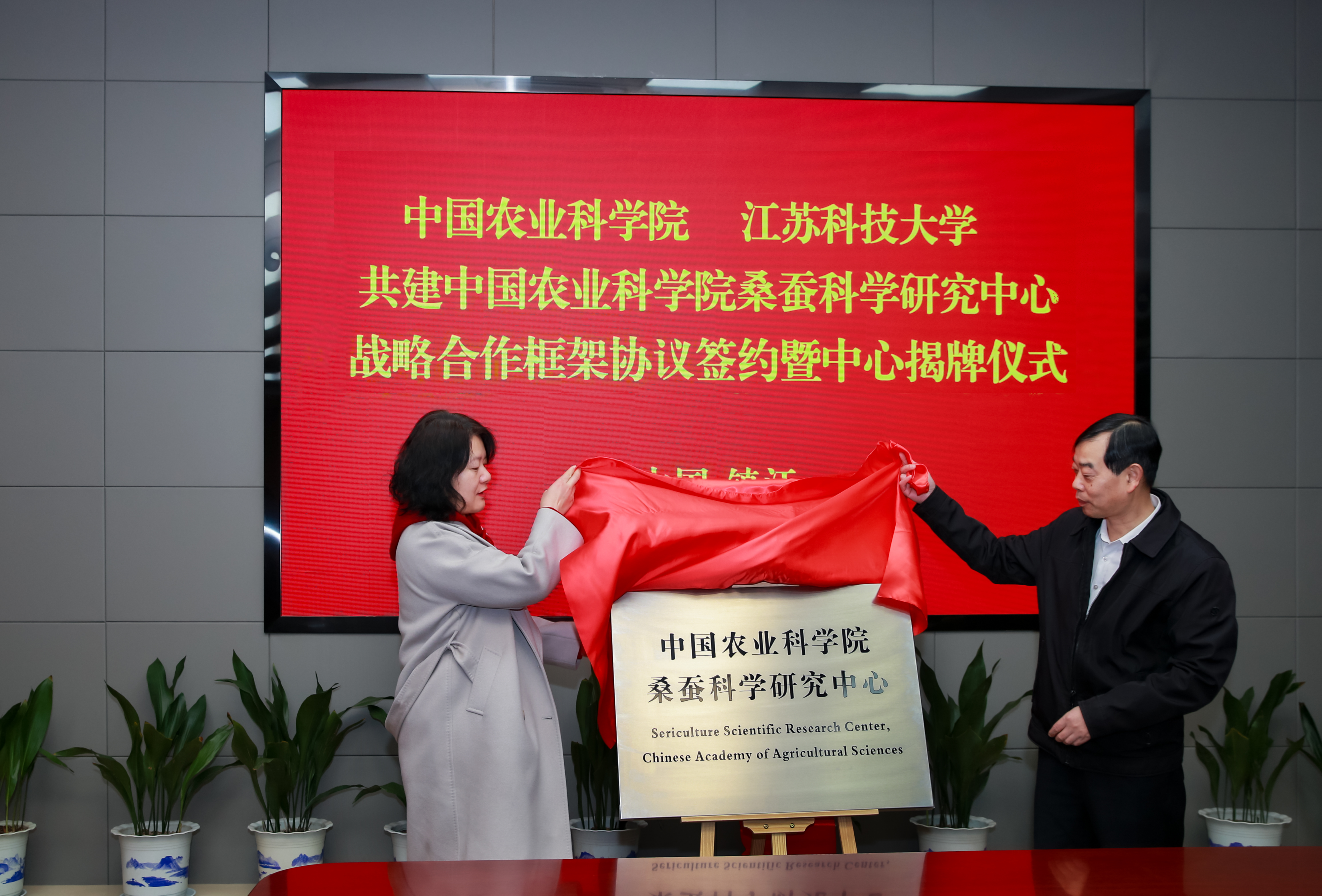 1703640875321725.jpg WUK_2488.JPG