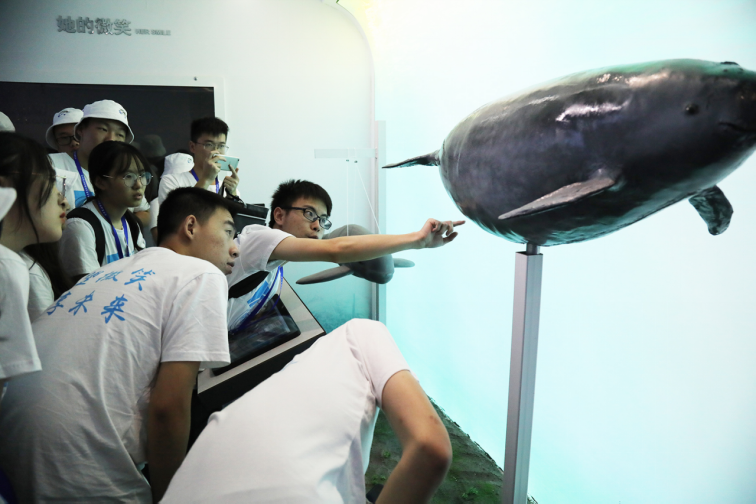 1714444782474858.png image.png