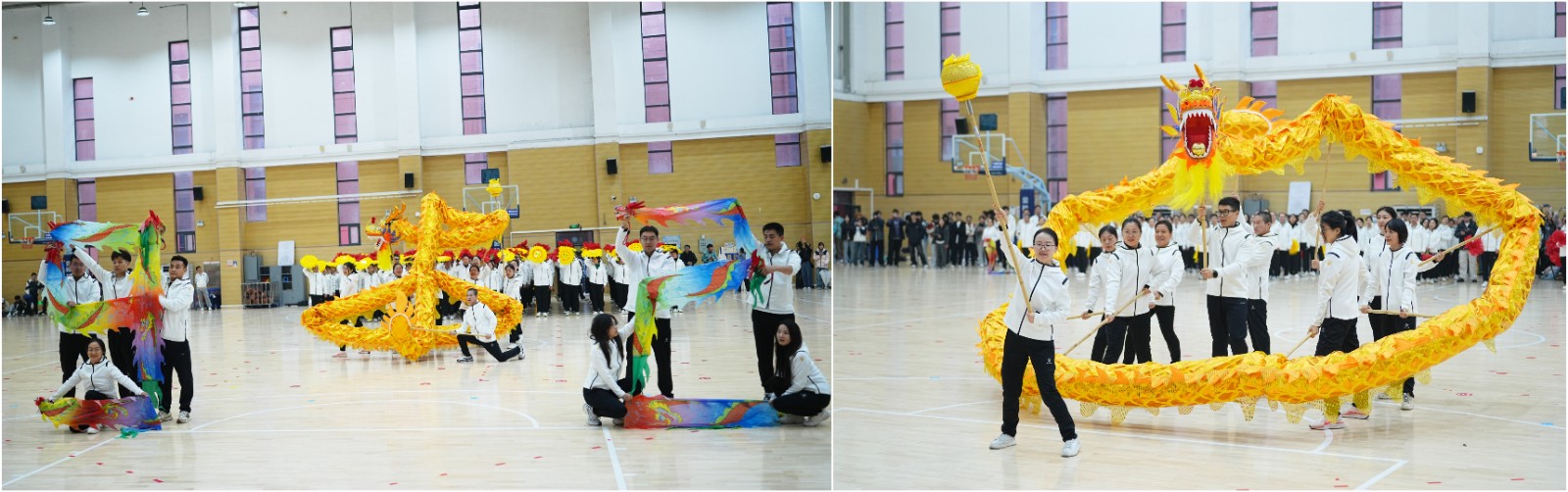 1762501971274946.jpg 1762501971274946.jpg