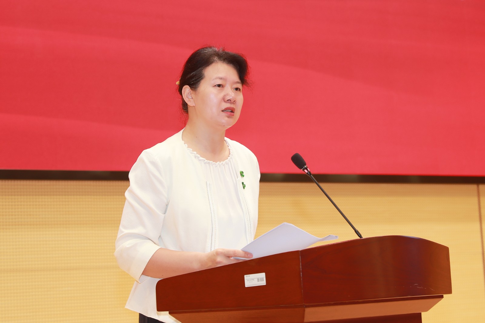 1724998125225083.jpg 1724998125225083.jpg