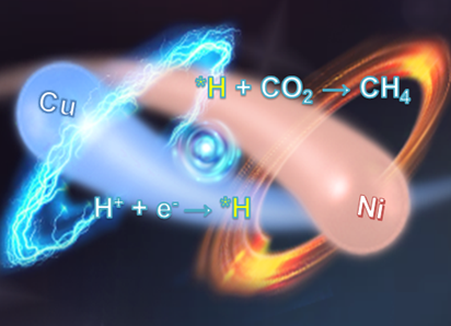 1733812540411012.jpg 1.jpg