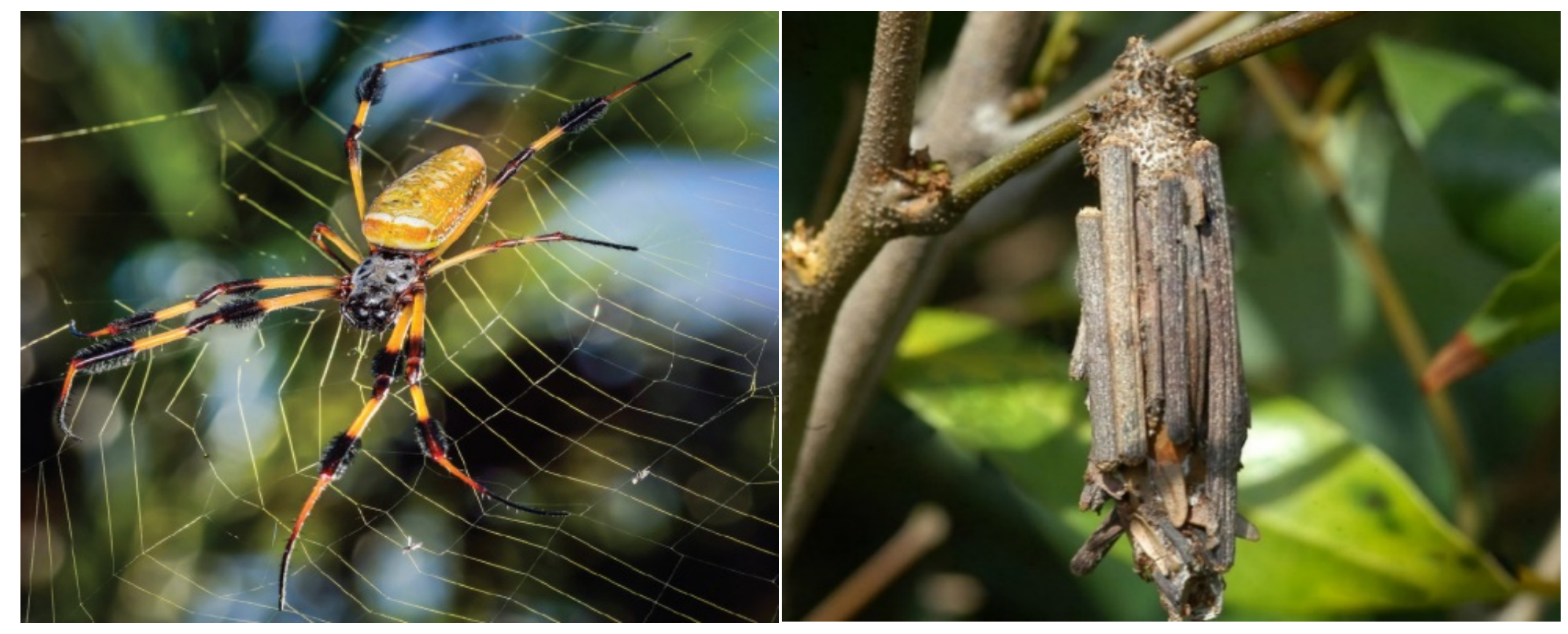 1712196609405077.png QQ圖片20240404100612.png